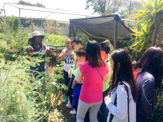 Youth Outdoors: Making Salve at Spiral Gardens